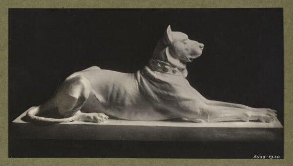 unknown, Photograph