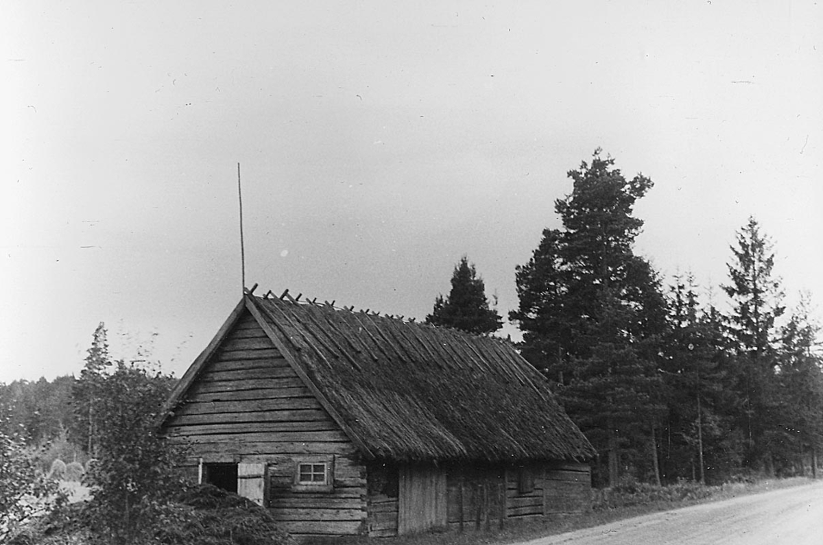 Eric von Rosen, Ladugård med halmtak i Halna.