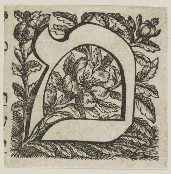 Unknown, Print