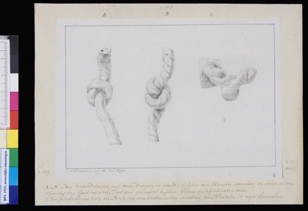 M Houtman, Umbilical cord