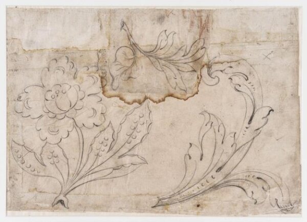 unknown, Drawing