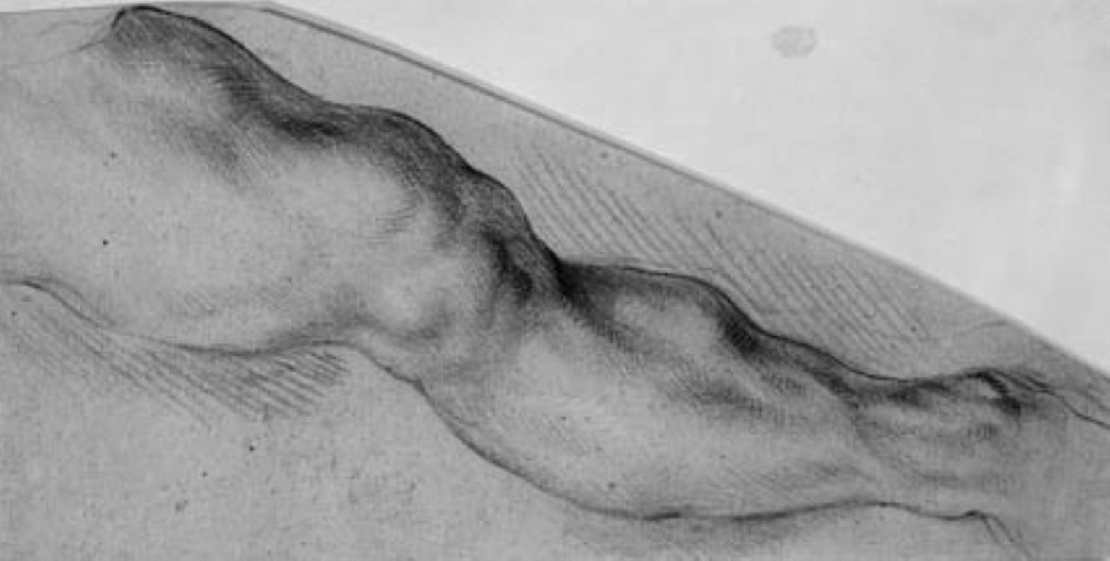 Willem Panneels, Hercules beruset. Hercules' højre ben