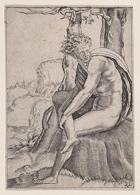 Agostino Veneziano (Agostino dei Musi), Seated Youth