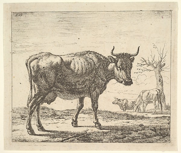 Adriaen van de Velde, Three Cows, plate 5 from "Different Animals"