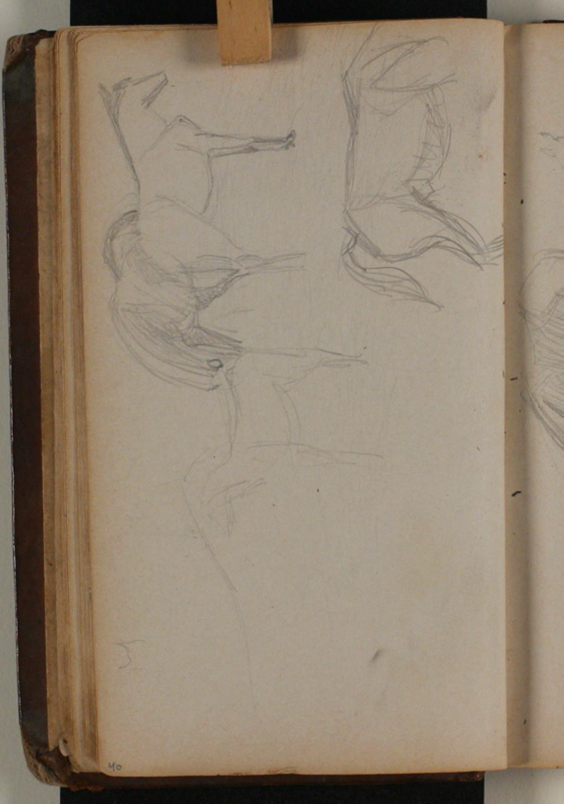 Niels Larsen Stevns, Studier af heste