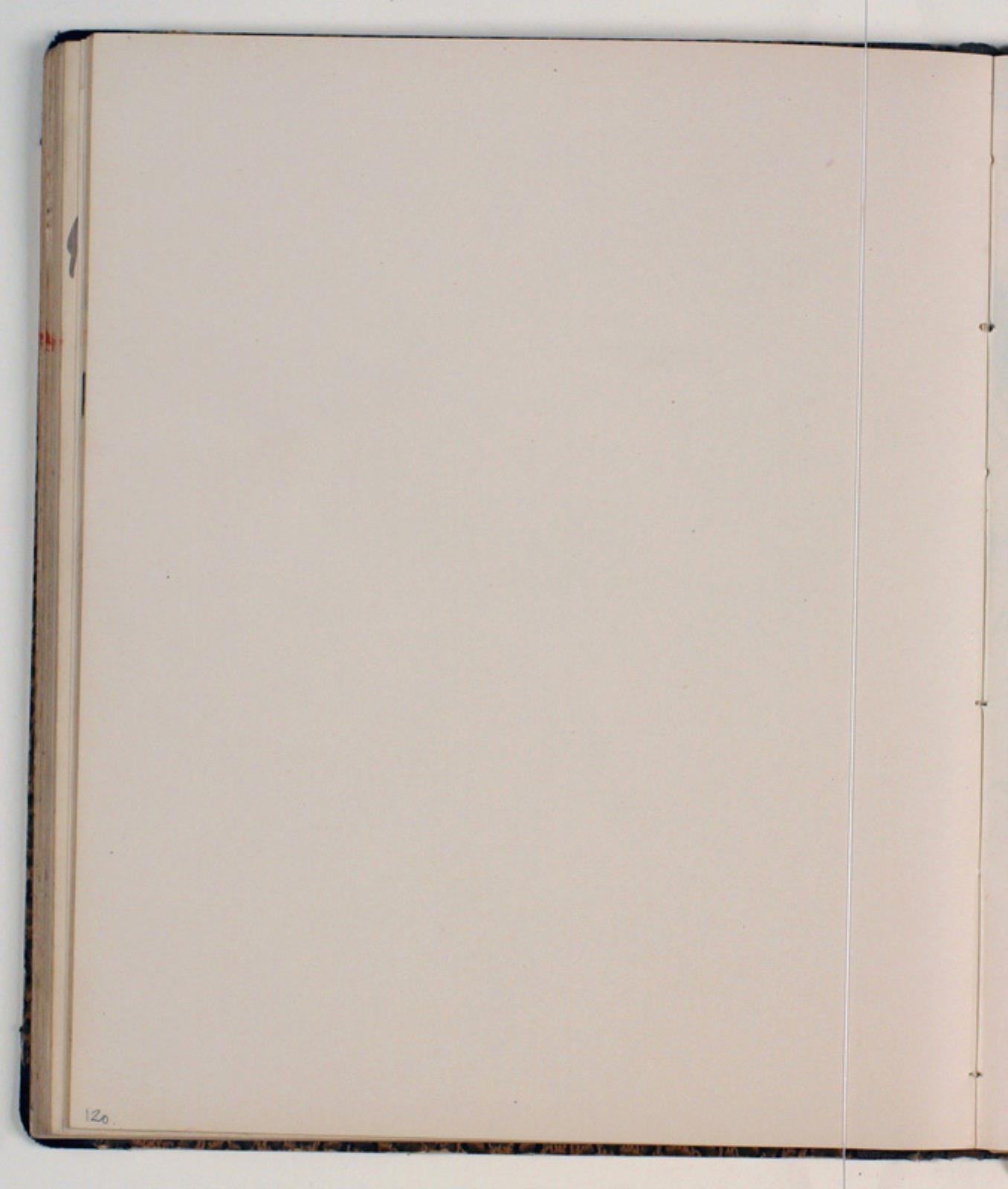 Niels Larsen Stevns, Blank