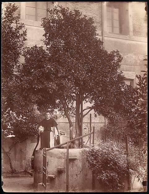 Unknown, [St. Dominic's Orange Tree on the Aventine]