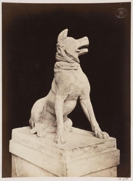 unknown, Photograph