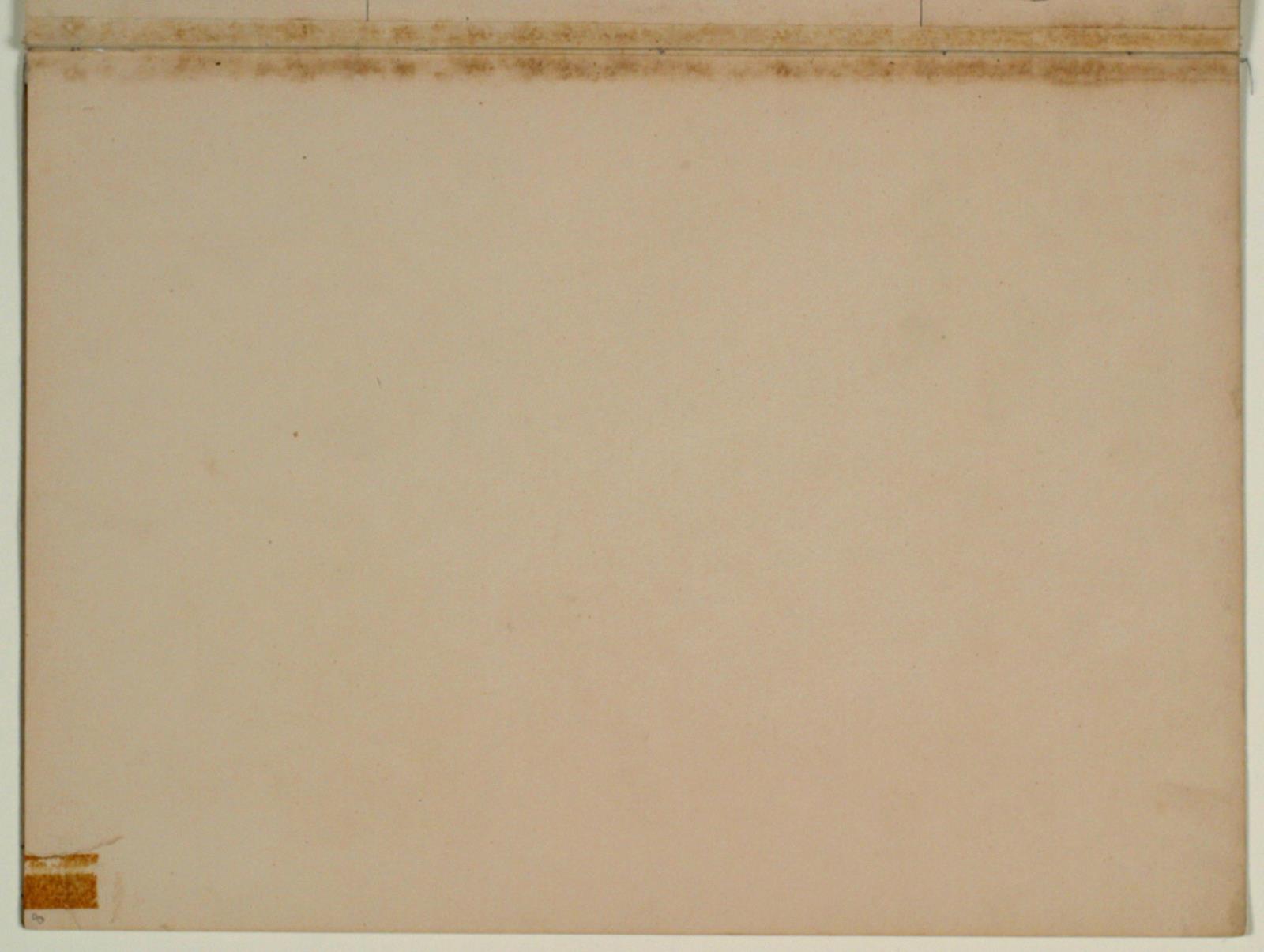 Niels Larsen Stevns, Blank