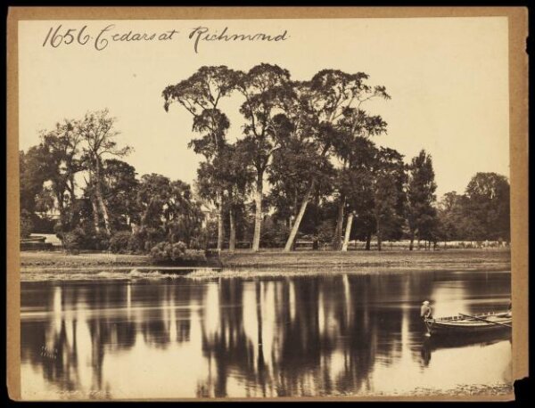 Francis Frith, Photograph