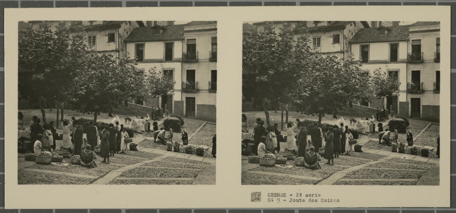 Desconegut, Ourse