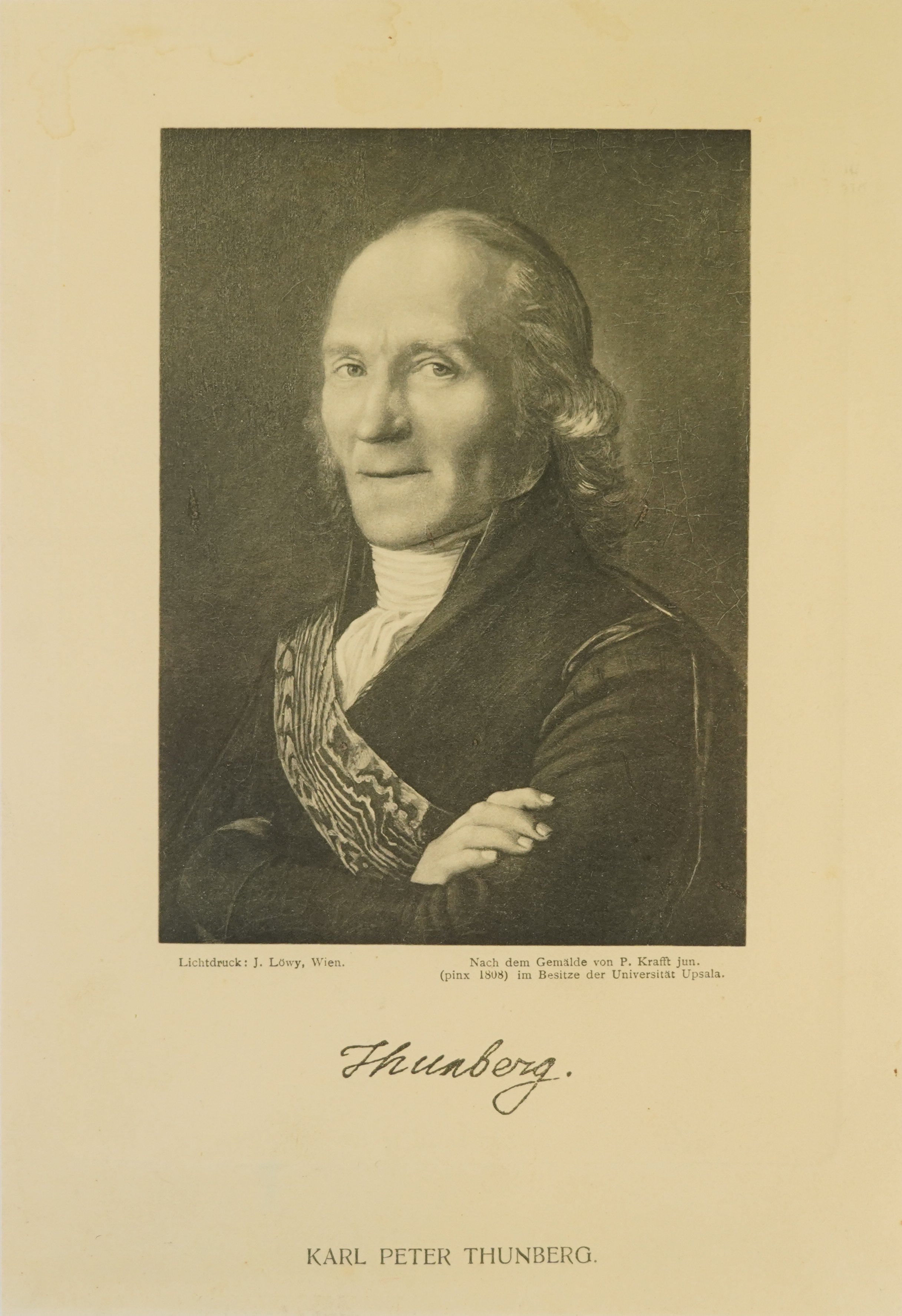 Unknown artist, Porträt von Carl Peter Thunberg