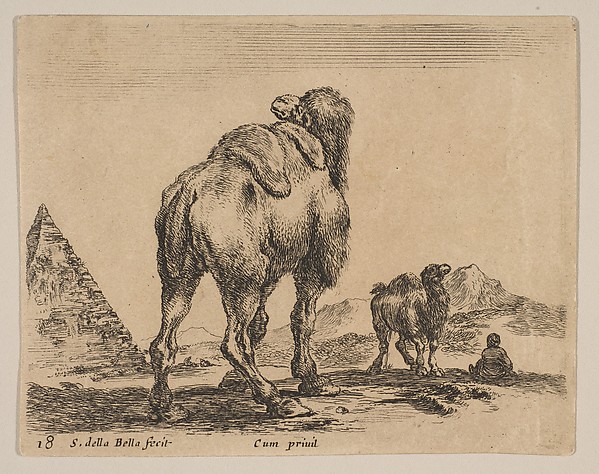 Stefano della Bella, Plate 18: Camel viewed from behind with pyramid at left, from "Various animals" (Diversi animali)