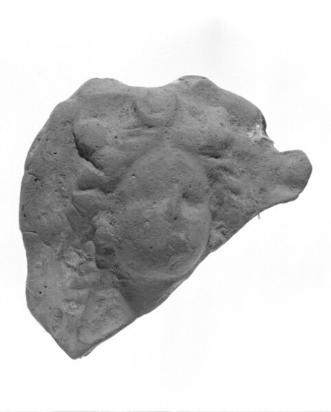 Unknown, Female Head Fragment