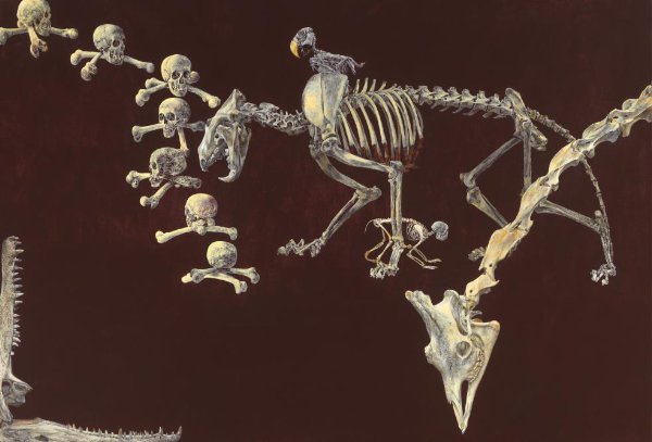 Erik Andriesse, Dead Zoo