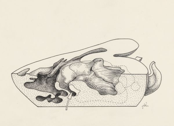 J Tinkelenberg, Reconstruction of the heart of an embryo