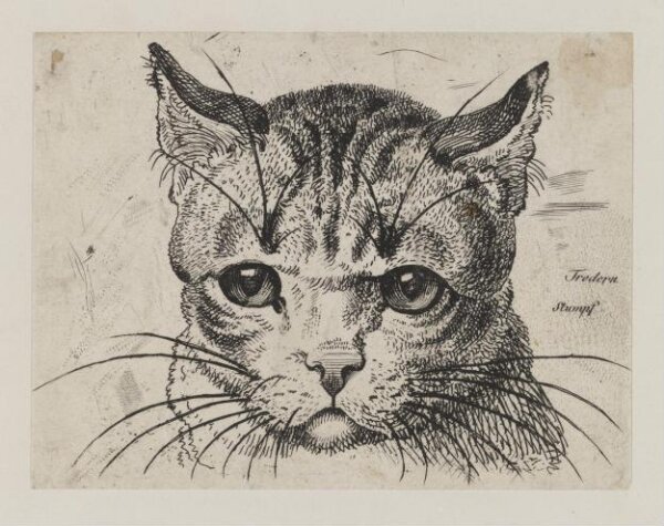 Unknown, Print