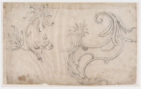 unknown, Drawing