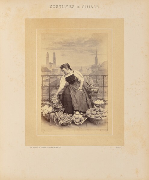 Adolphe Braun, Canton de Zurich