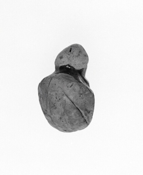 Unknown, Female Head Fragment