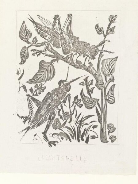 Pablo Picasso, Histoire Naturelle