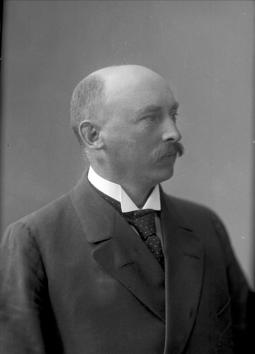 Gustav Borgen, NFB.26508