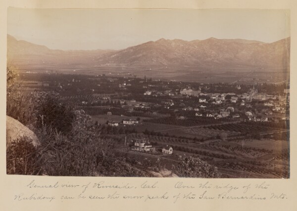 Unknown, [View of Riverside, California]