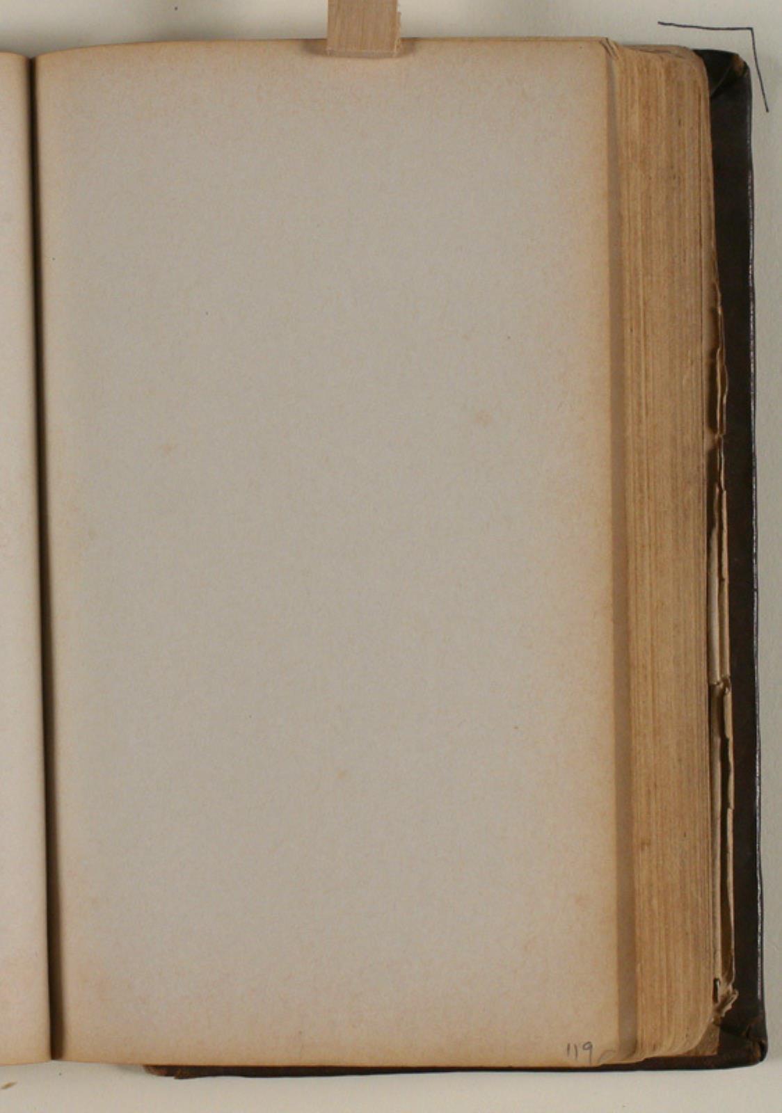 Niels Larsen Stevns, Blank