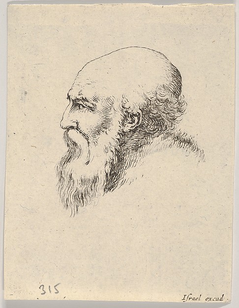 Stefano della Bella, Plate 8: Head of an old bald man with a long beard, facing left in profile, from "Various heads and figures" (Diverses têtes et figures)