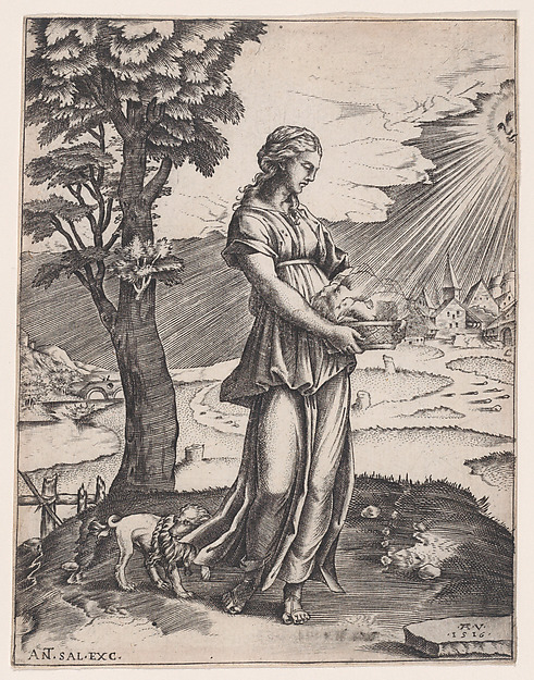Agostino Veneziano (Agostino dei Musi), The Cumaean Sibyl