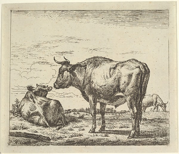 Adriaen van de Velde, Standing Bull, plate 3 from "Different Animals"