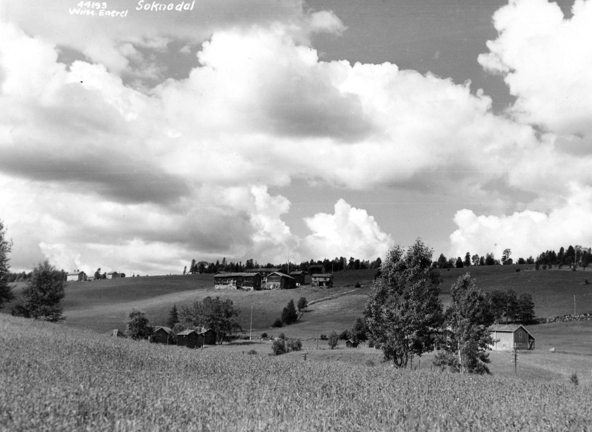 Anders Beer Wilse, Topografi