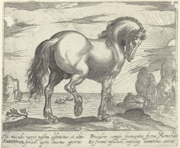 Panderen, Egbert van, (1581-1637?), (printmaker), Horse breeds: Landscape with a Sardinian horse