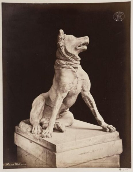 unknown, Photograph