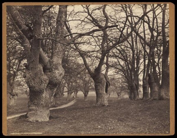 Francis Frith, Photograph