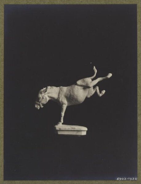 unknown, Photograph