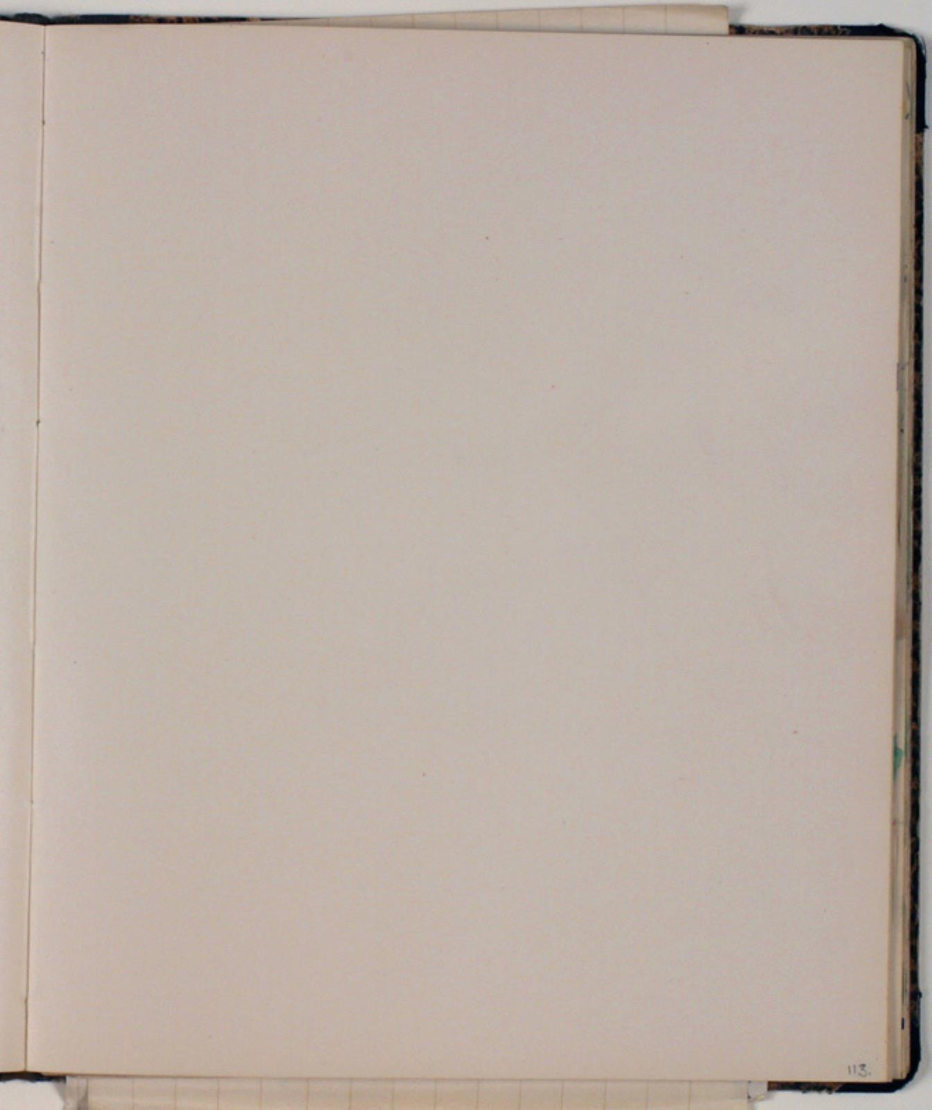 Niels Larsen Stevns, Blank