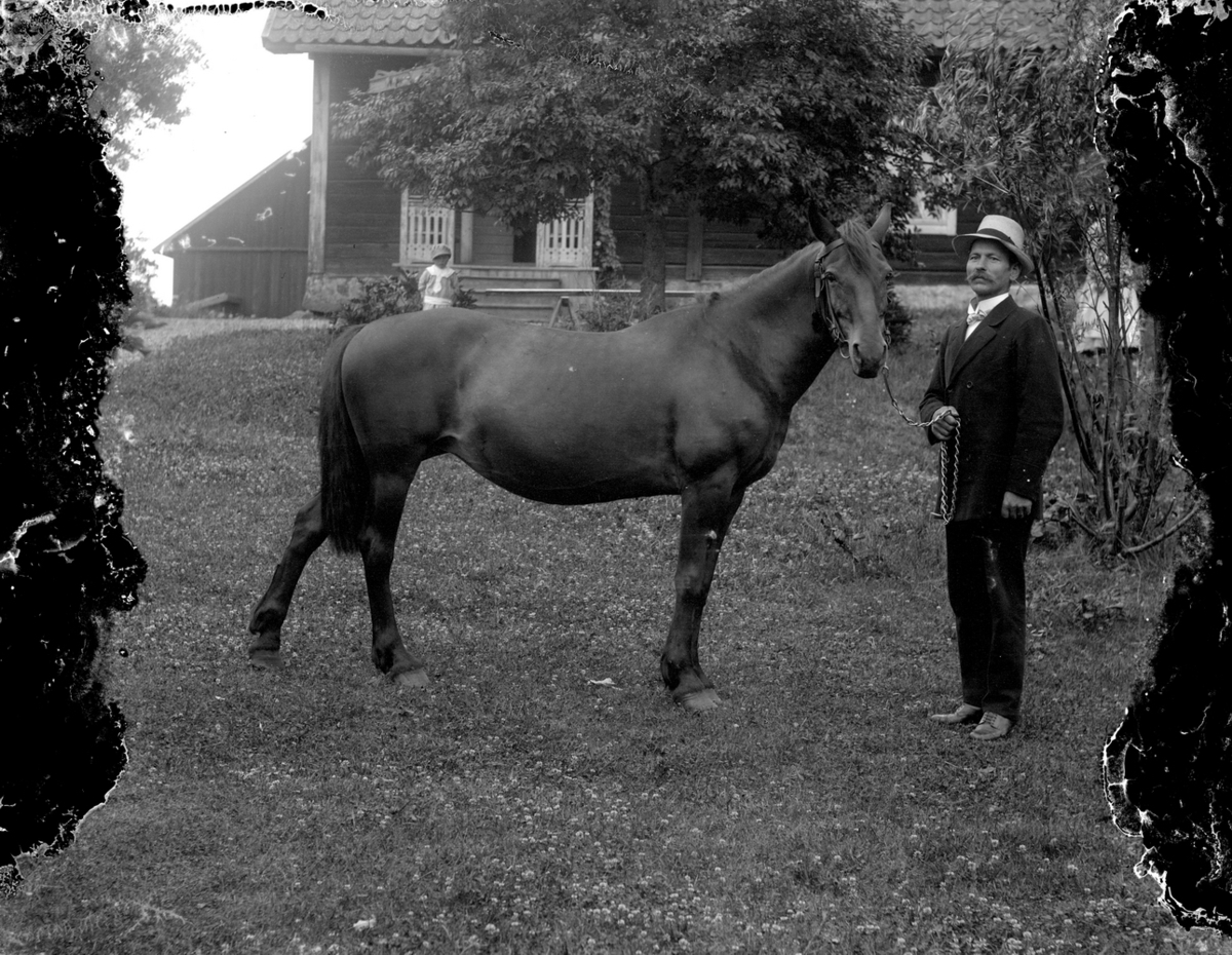 Gustaf Ferdinand Hallberg, En man och en häst, ett barn, bostadshus.