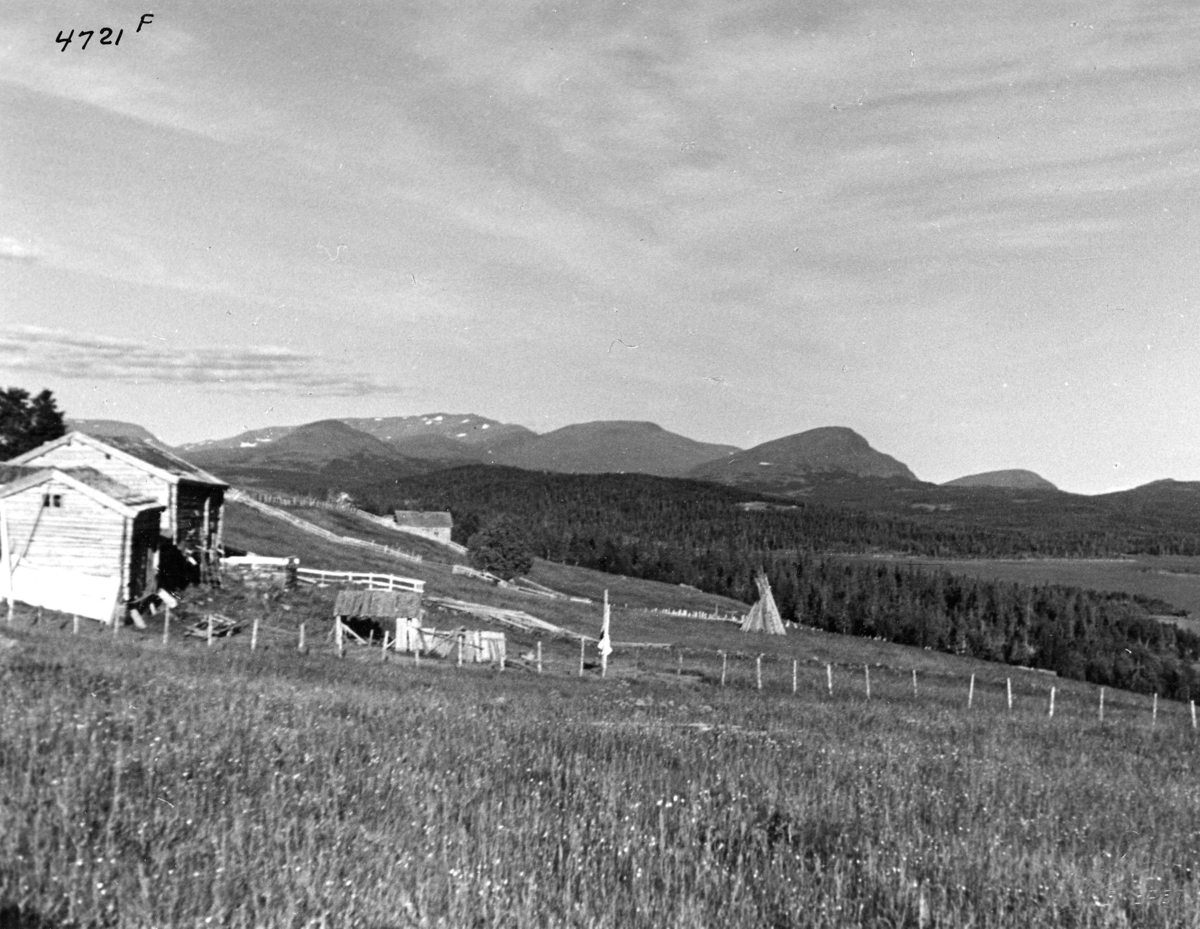 Anders Beer Wilse, Topografi