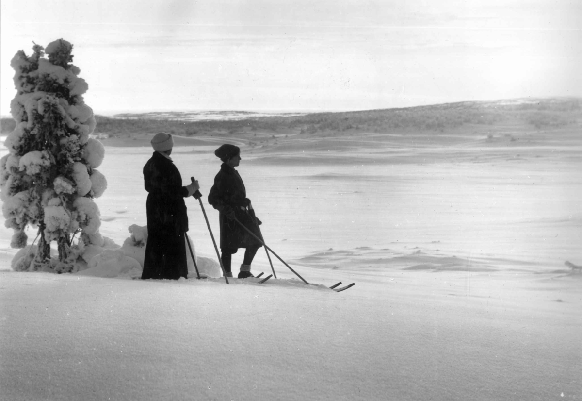 Anders Beer Wilse, Sportsdrakt, Skidrakter