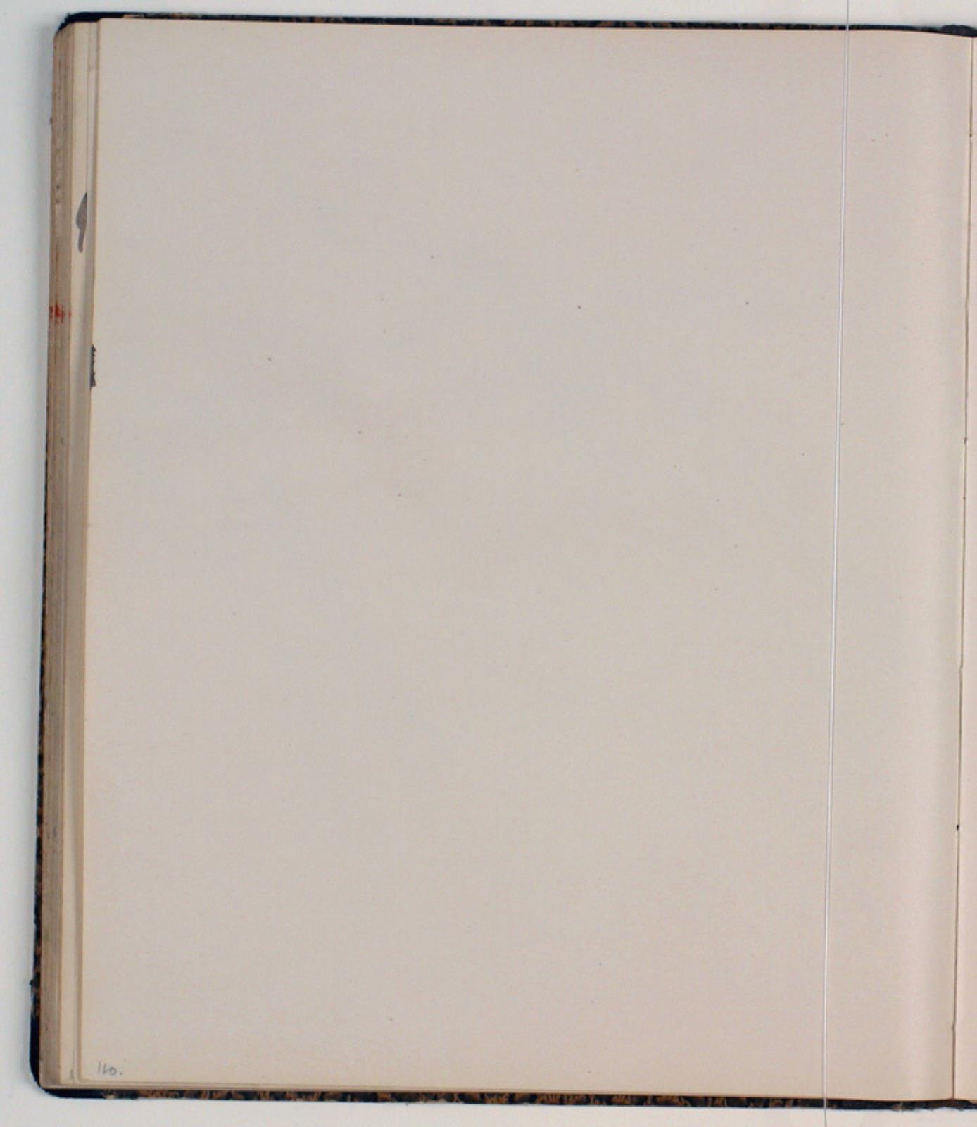 Niels Larsen Stevns, Blank