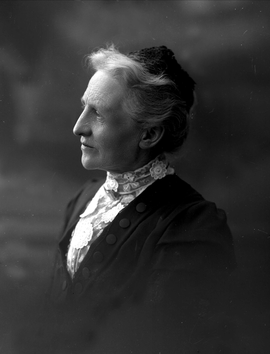 Gustav Borgen, NFB.10450