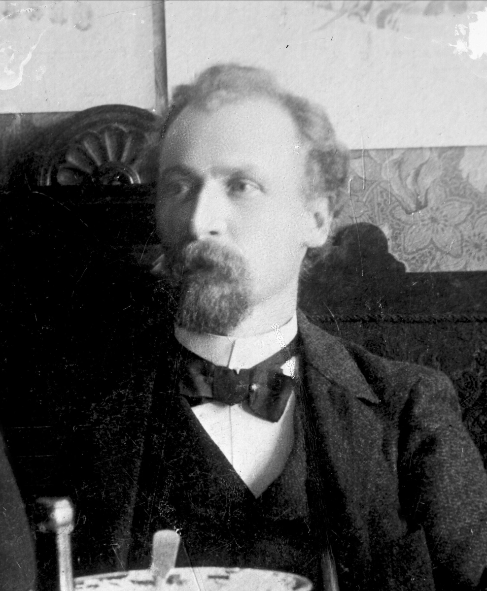 Gustav Borgen, Avfotografering.