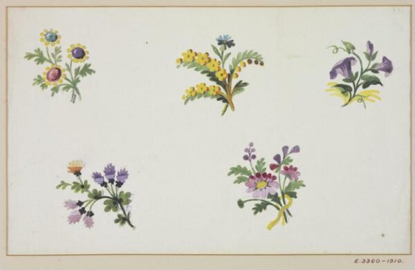 Unknown, Drawing