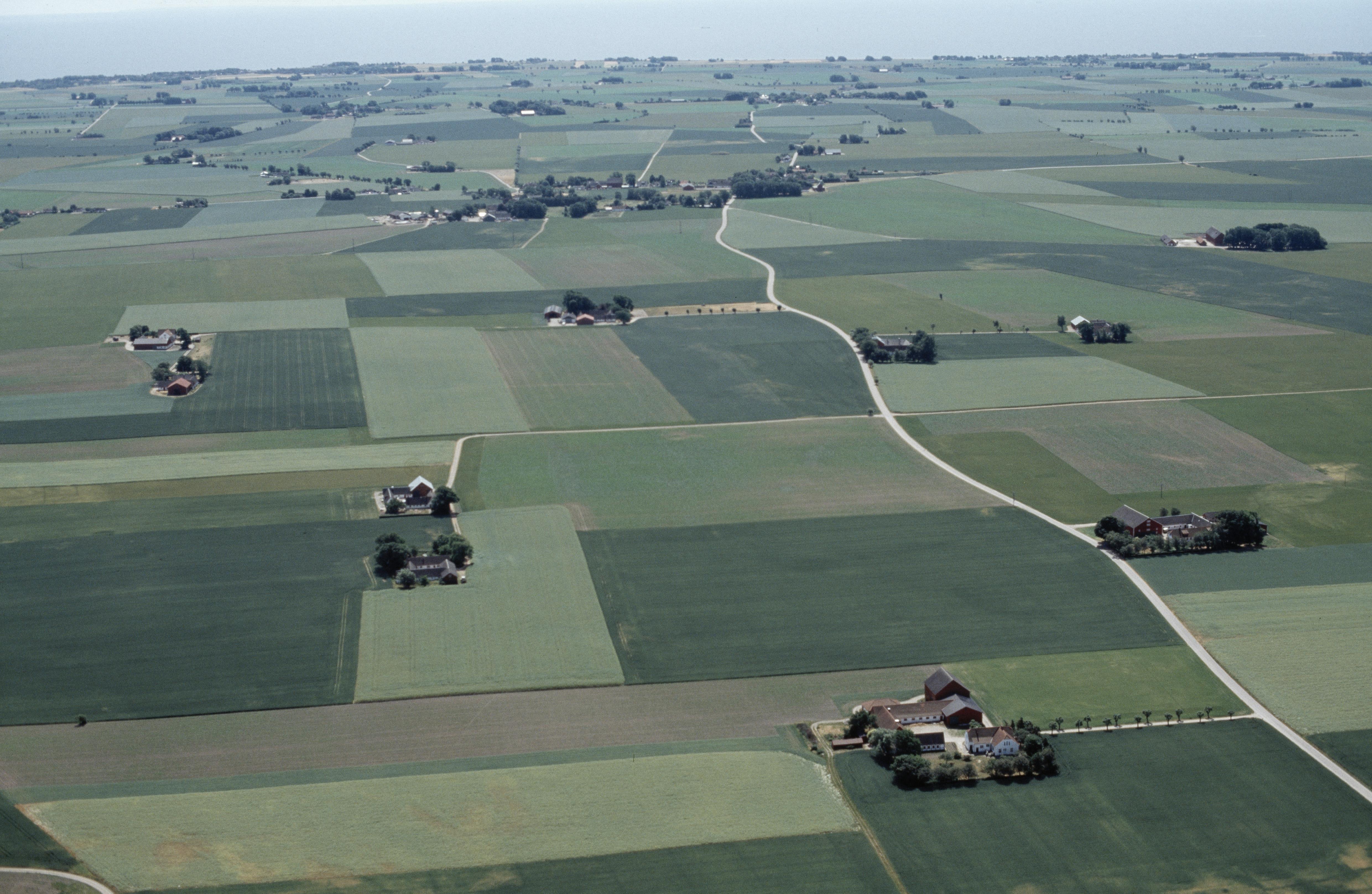 Jan Norrman, Vallby