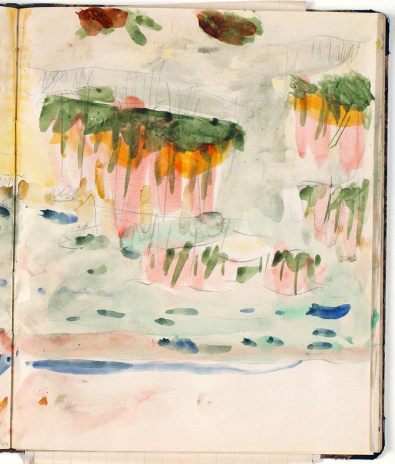 Niels Larsen Stevns, Landskabsstudie