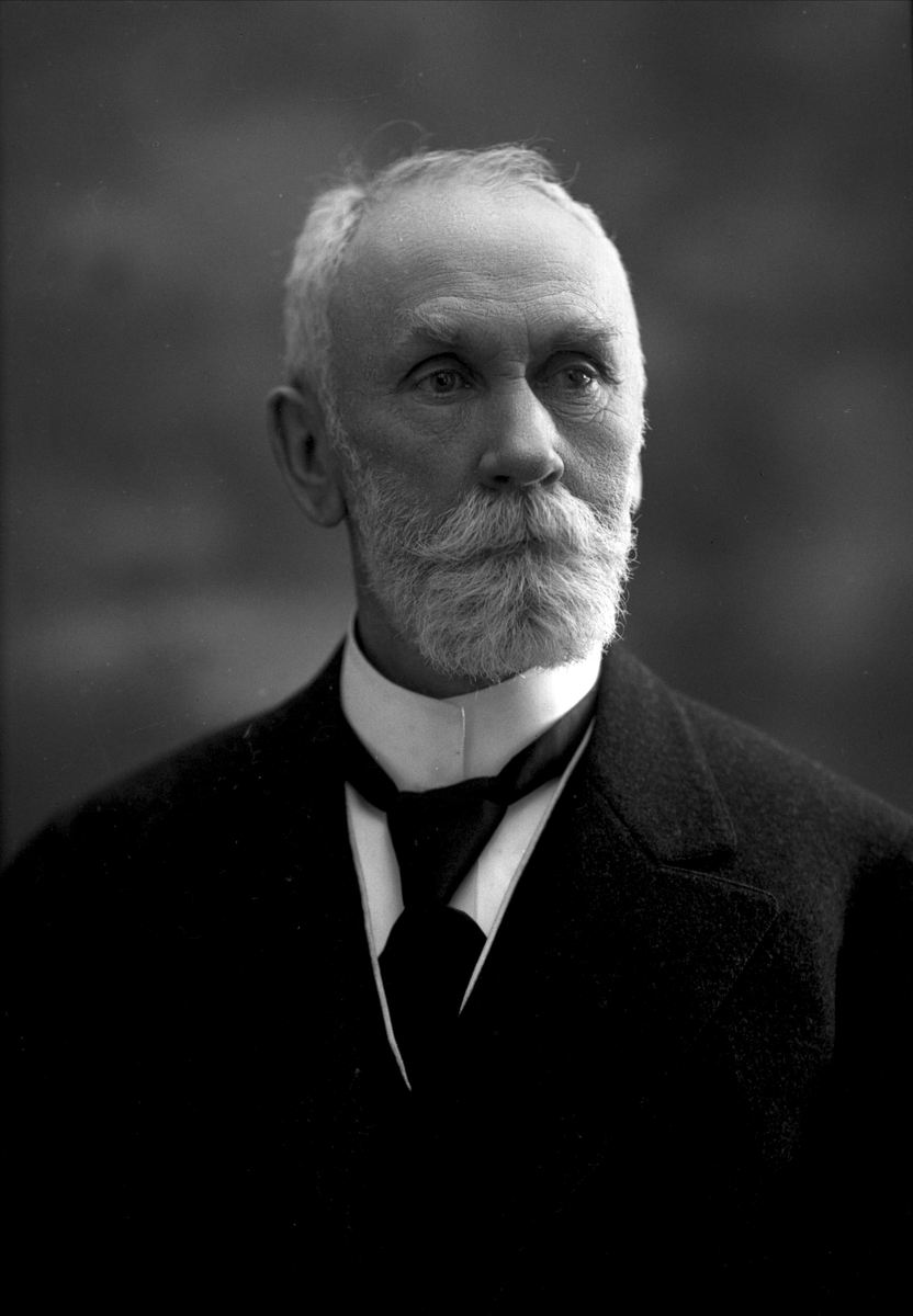 Gustav Borgen, NFB.05833