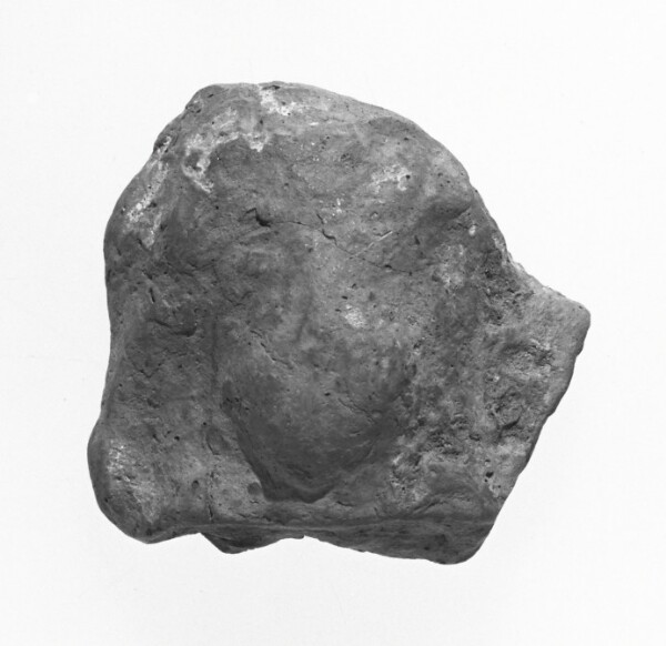 Unknown, Female Head