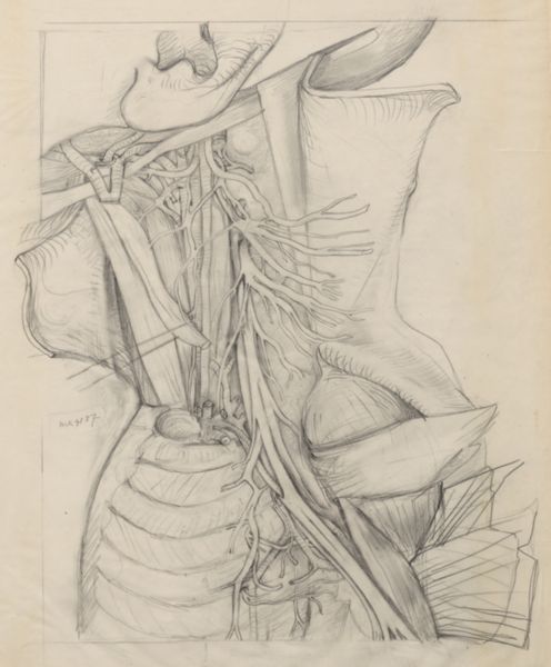 J Tinkelenberg, Unidentified human tissue