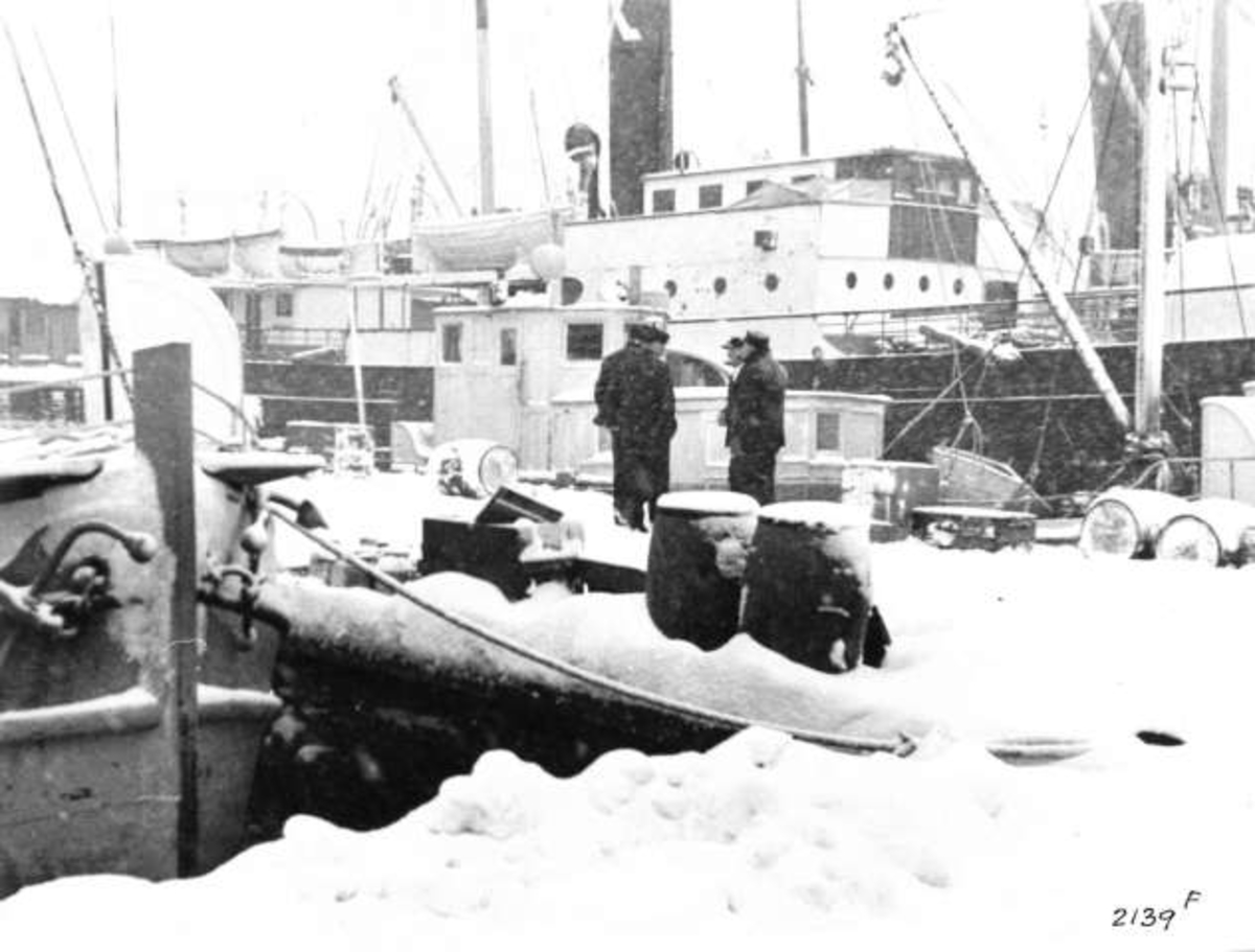 Anders Beer Wilse, Dampbåter/Skip, Motorbåter/Skip